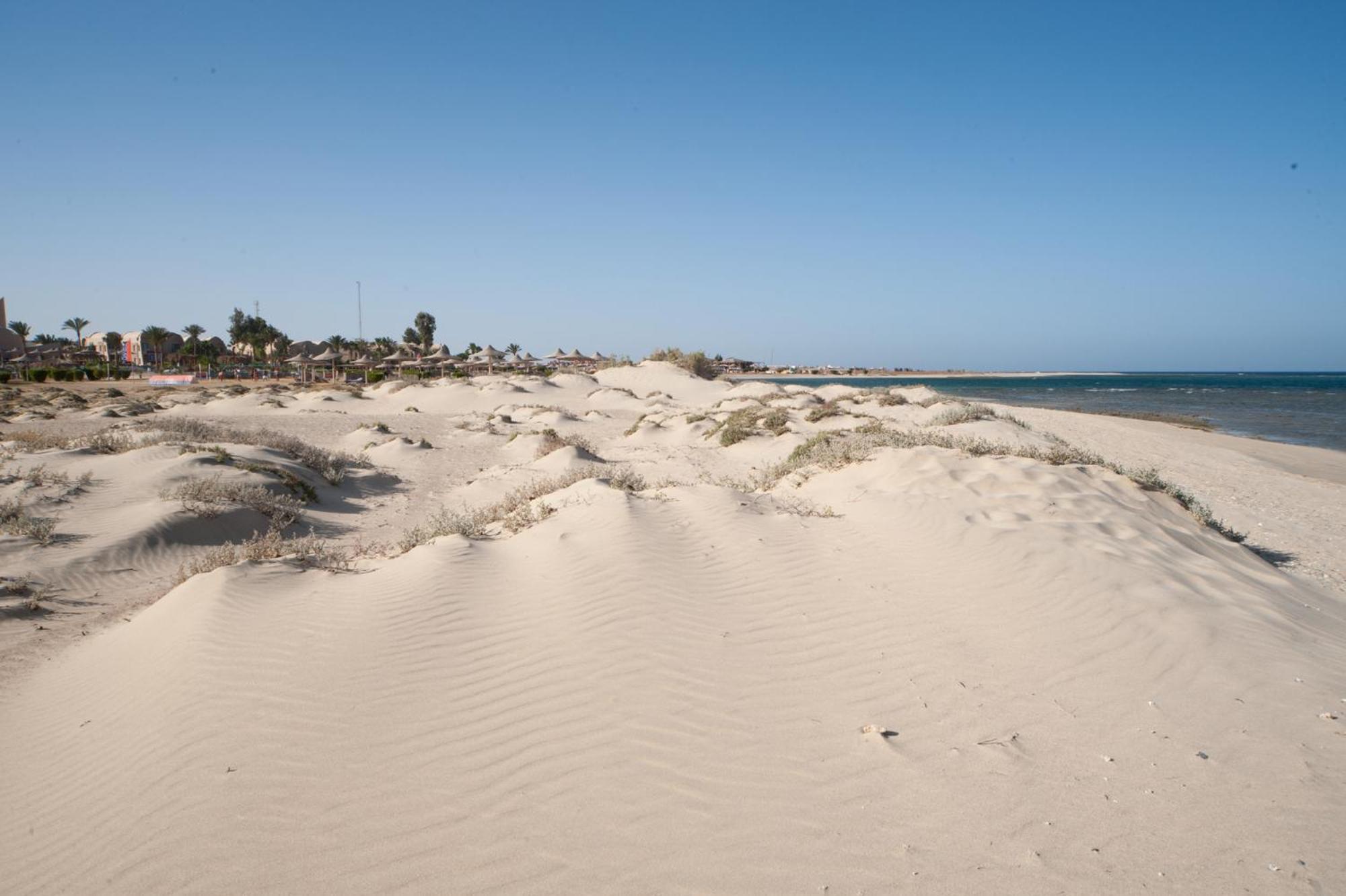 Shams Alam Beach Resort Abū Ghuşūn Dış mekan fotoğraf