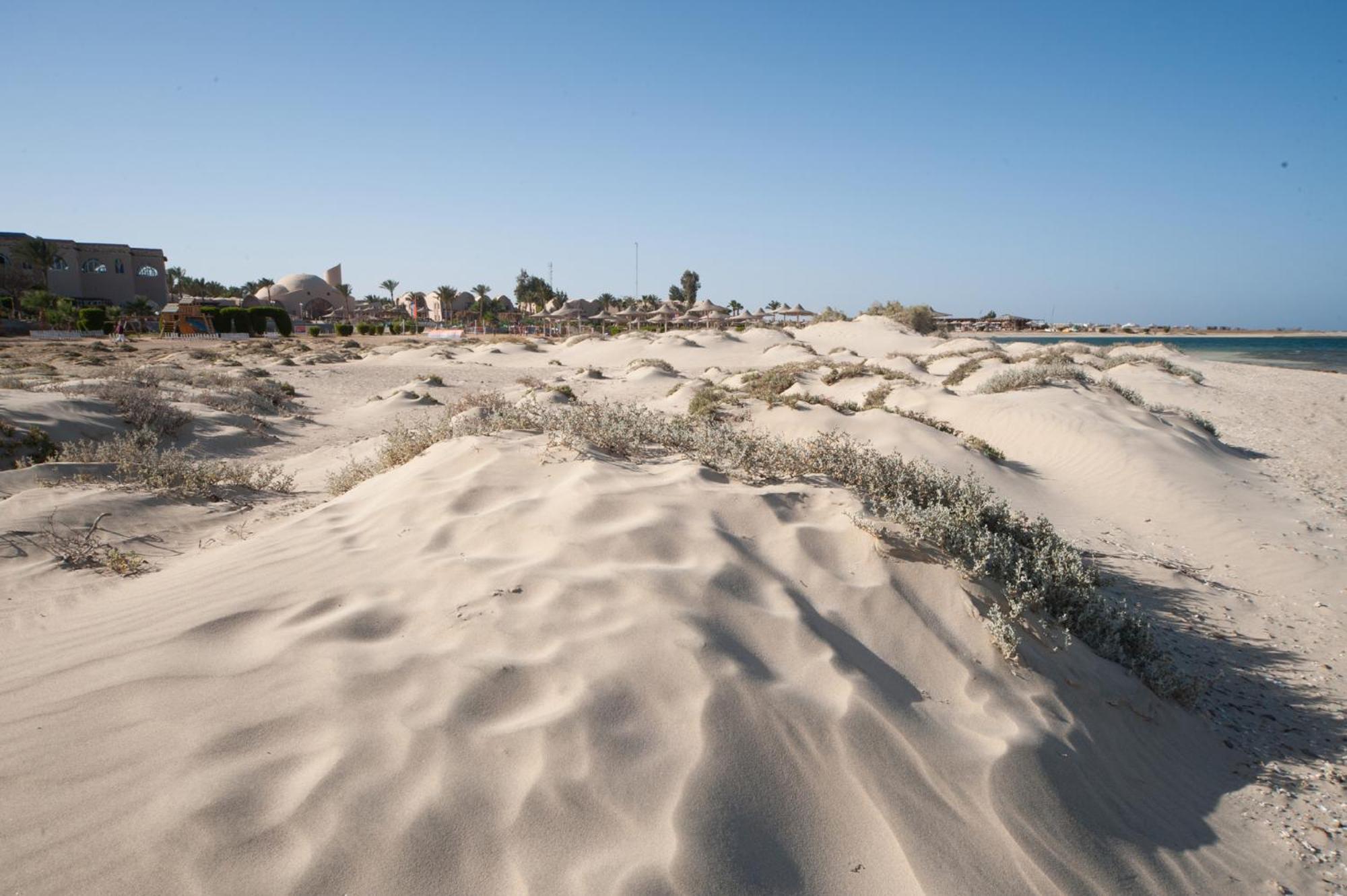 Shams Alam Beach Resort Abū Ghuşūn Dış mekan fotoğraf